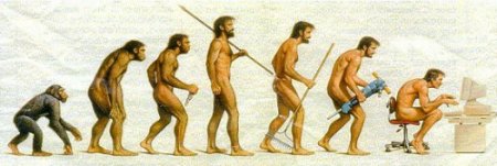Evolution de l'espèce humaine Evolution de l'espèce humaine