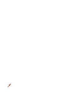 feu_artifice2.gif